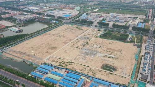 山东滨州最新爆料,揭秘背后惊人真相