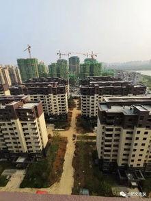 新站区最新楼盘爆料,独家揭秘最新楼盘，投资宜居两相宜！