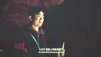 宁哥影视爆料大全最新,揭秘娱乐圈最新热点事件